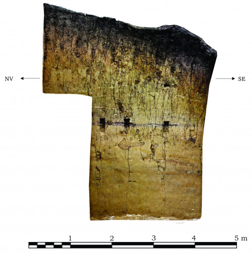 Fig. 3. Profilul nord-estic al suprafeței cercetate (T1/2022 și T2/2023).